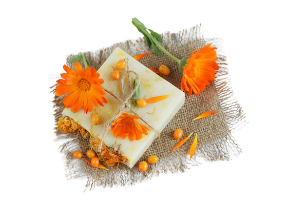 Calendula Salve