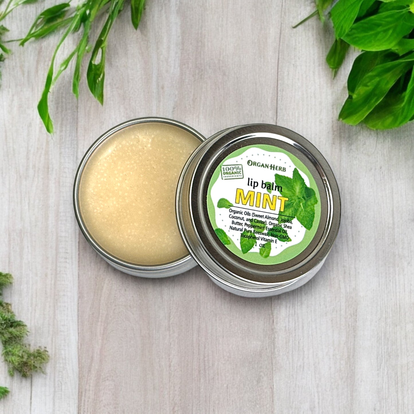 OrganHerb Organic Mint Lip Balm 1 oz – Refreshing Hydration with Pure Peppermint Essence - OrganHerb