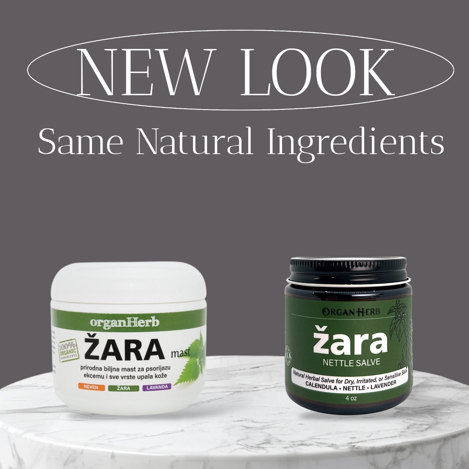 サケハサカナ   サカナハキドリ OrganHerb Organic Nettle Salve (Žara-Kopriva) 4 oz – Nourishing Botani