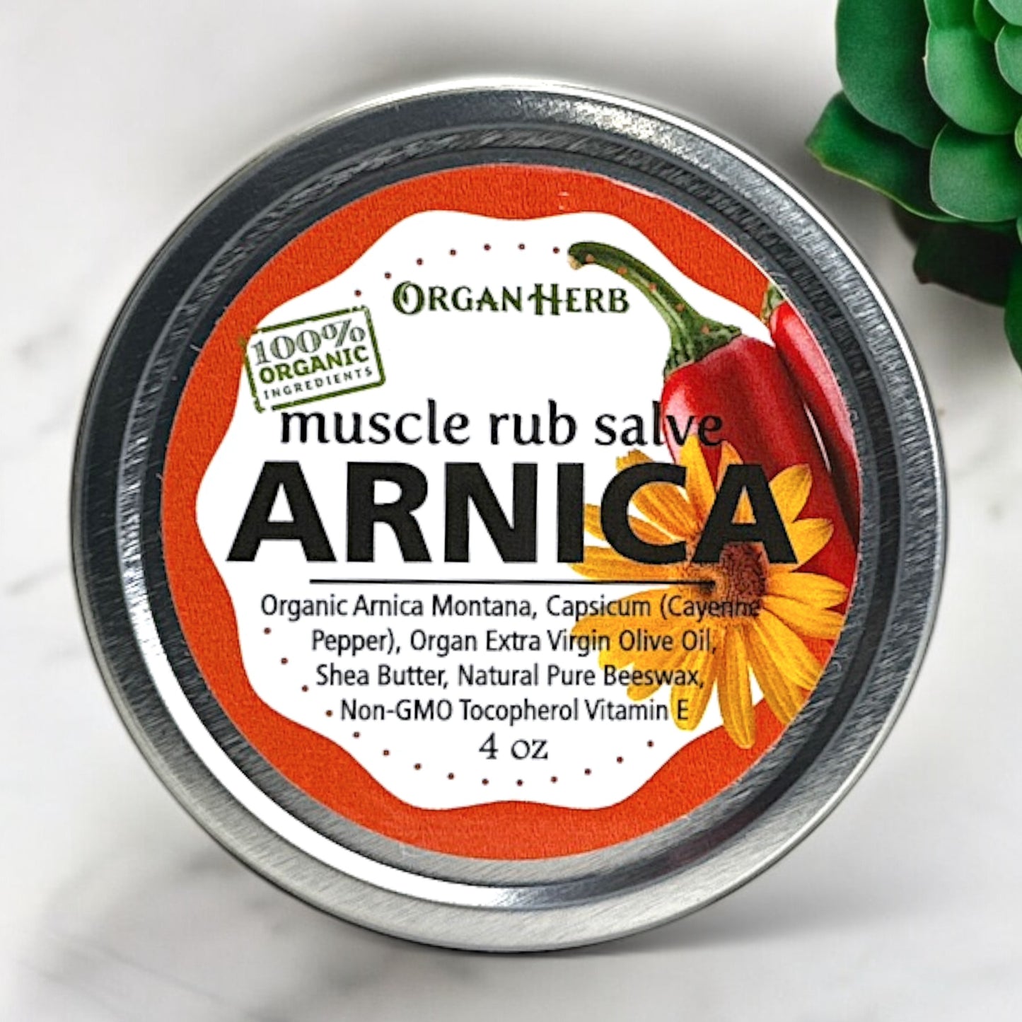 OrganHerb Organic Arnica and Capsicum Muscle Rub Salve 4 oz – Natural Relief for Muscles and Joints - OrganHerb