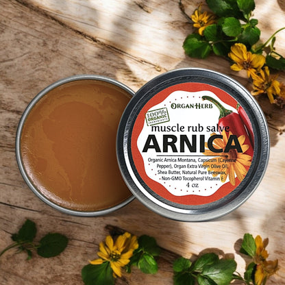 OrganHerb Organic Arnica and Capsicum Muscle Rub Salve 4 oz – Natural Relief for Muscles and Joints - OrganHerb